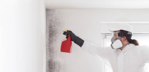 Best Residential Mold Removal  in Carlisle Rockledge, AL